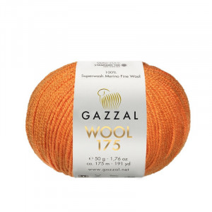 316 Пряжа Gazzal Wool 175