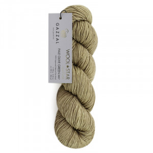 3807 Пряжа Gazzal Wool Star
