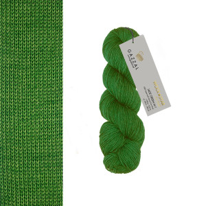 3817 Пряжа Gazzal Wool Star