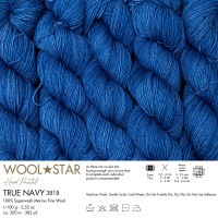 3818 Пряжа Gazzal Wool Star